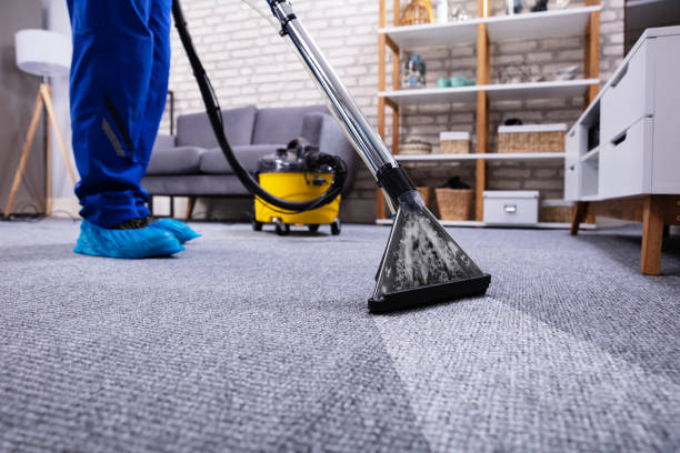 best carpet cleaning tips for mountain house ca